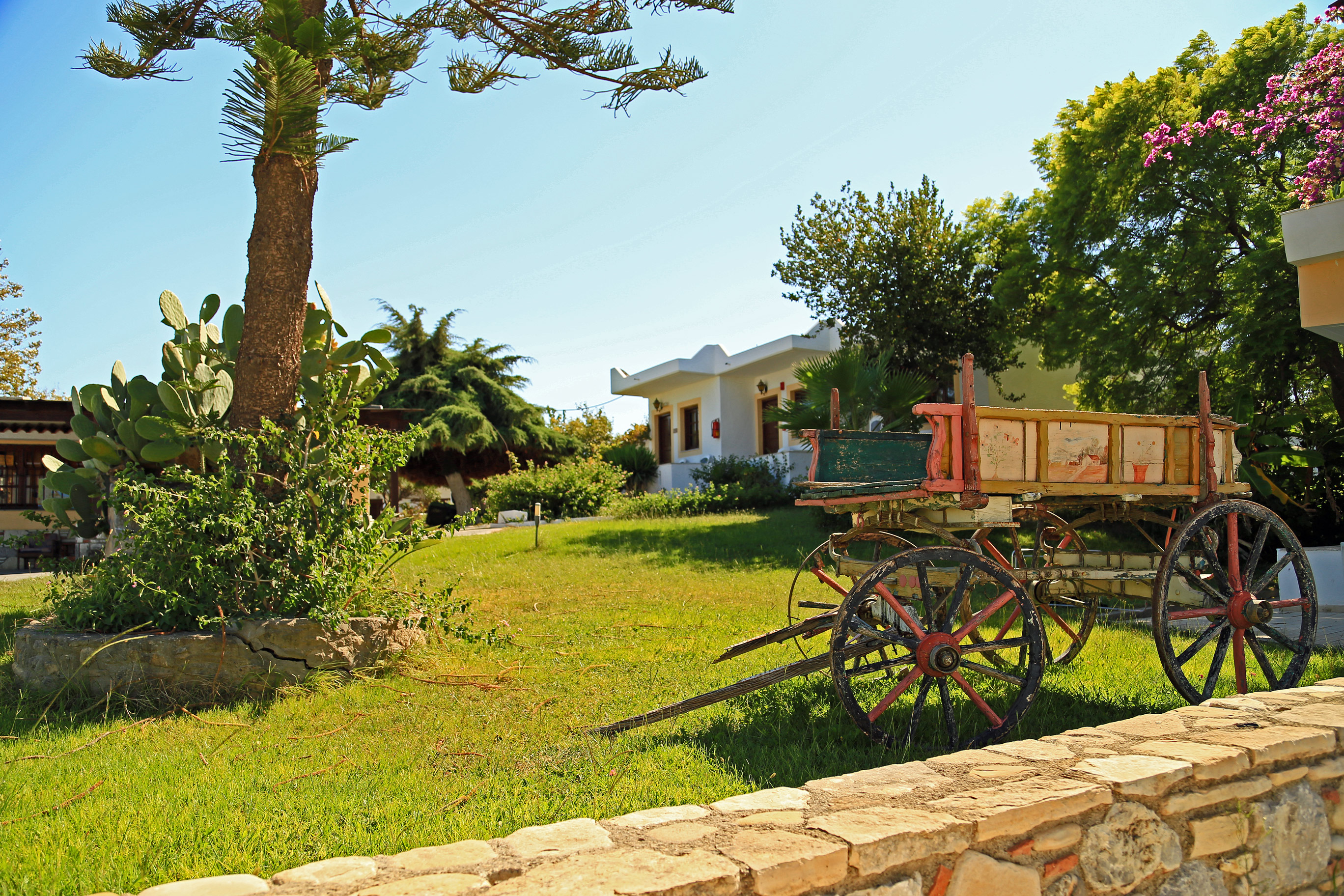 Greece - Kos - Ampavris - A Quaint Carriage