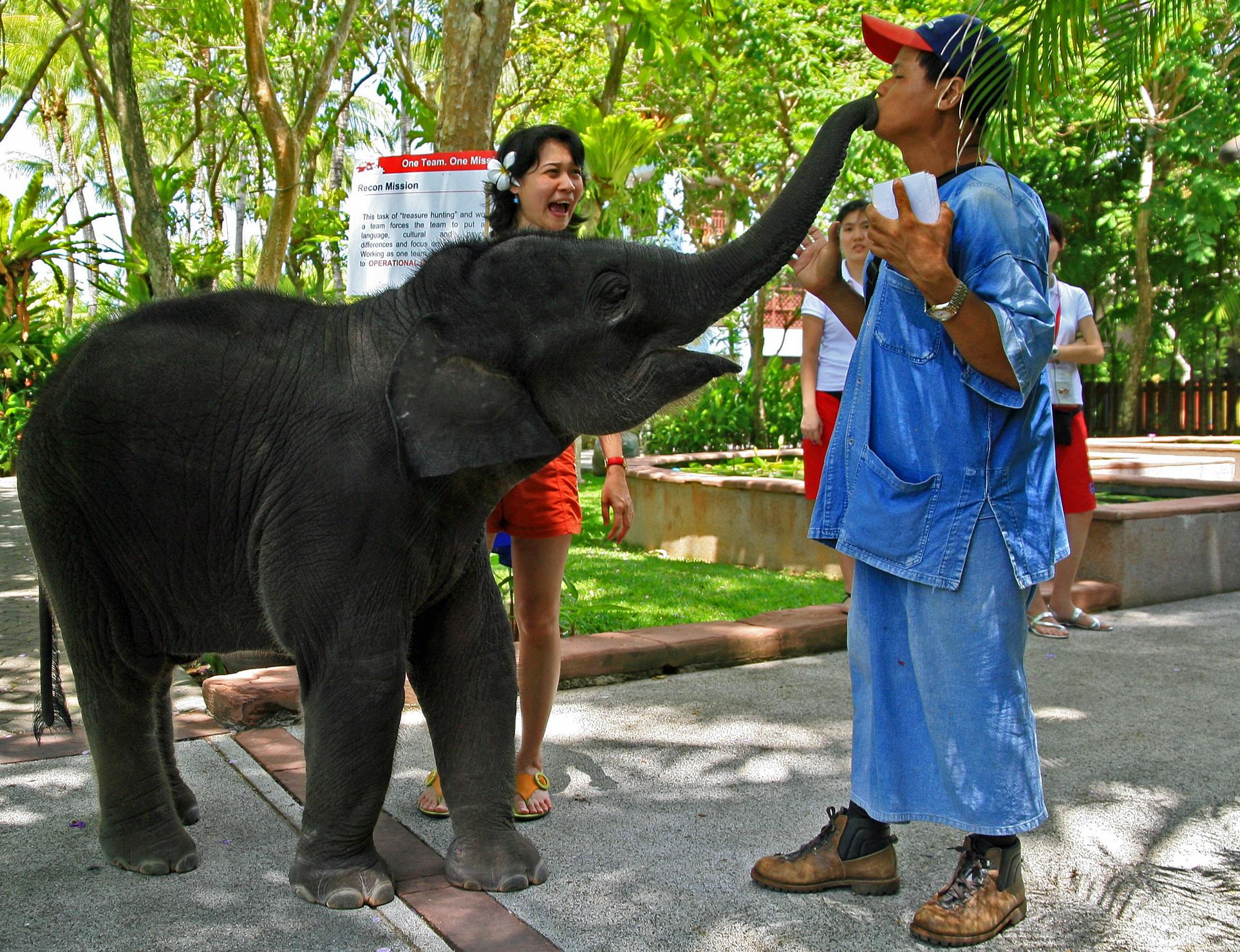 Thailand - Phuket - True Love